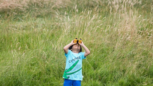 A child wearing a blue t-shirt with a crocodile on it, looking through a pair of binoculars and surrounded by tall grasses